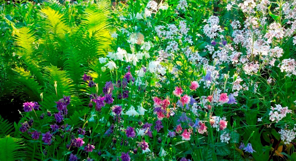 Le Jardin d'Adoué au printemps